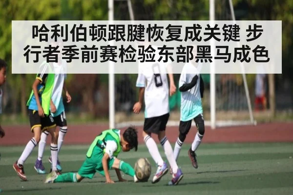 哈利伯顿跟腱恢复成关键 步行者季前赛检验东部黑马成色