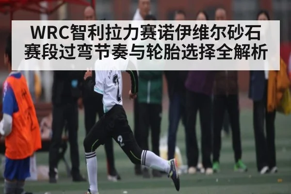 WRC智利拉力赛诺伊维尔砂石赛段过弯节奏与轮胎选择全解析